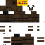 Texture for fixed cat