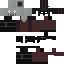 Texture for illager