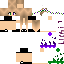 Texture for Lichy