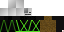 Texture for Skel