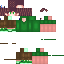 Texture for Shappy