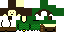 Texture for LINK