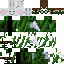 Texture for Hp