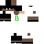 Texture for steve