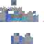 Texture for Frozen Steve-Skeleton