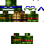 Texture for Leo