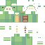Texture for Lkdmap Turtle