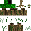 Texture for Setup Ent