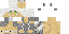 Texture for snowleopardnew