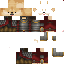 Texture for doge2