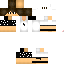 Texture for STEVE