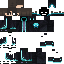 Texture for wither241