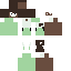 Texture for connie