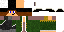 Texture for Principle