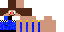 Texture for Fermier