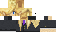 Texture for home