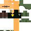 Texture for fsff