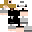 Texture for  robert