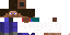 Texture for Steve