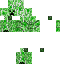 Texture for 213