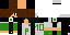 Texture for Link