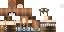 Texture for dynamo