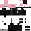 Texture for Dinh0