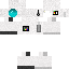 Texture for steve