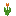 Texture for tulip