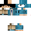 Texture for steve