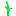 Texture for Karpuz