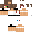 Texture for NINJA SKYLAR