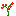 Texture for red rose