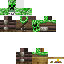 Texture for assin cried