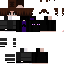 Texture for enderskin2