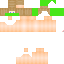 Texture for billzko