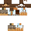Texture for SDF