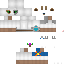 Texture for Polar V1