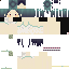 Texture for inshow