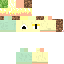 Texture for そう