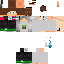 Texture for __SkyOwner__