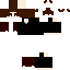 Texture for McShO QwQ