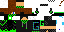 Texture for Vor