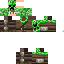 Texture for criptor 2011