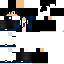 Texture for Tim_Flash