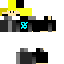 Texture for Luizera