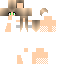 Texture for Phaoline