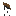 Texture for tar fragment