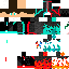 Texture for スキン