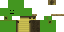 Texture for Turtle